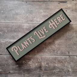 Plants Live Here Framed Metal Print Vintage Style Gallery Wall Art - thumbnail 1