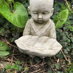Monk W Leaf Bird Feeder Stone Statue - Buddha Oriental Garden Outdoor Ornament - thumbnail 3