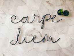 Carpe Diem Wire Wall Sign - Words Word Custom Hanging Inspirational Decor - thumbnail 1