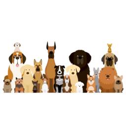 Dog Wall Sticker - Big Group Of Dogs Decal Art - thumbnail 3