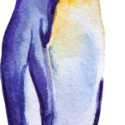 Penguin #2 Wall Decal Arctic Bird Ocean Sea Life Removable Fabric Sticker - thumbnail 2