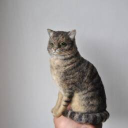 Custom Made Cat, Needle Felted Cat Portrait, Long Haired Siamese Or Any Other Breed, Will Be Made From Photos - To Order - thumbnail 4