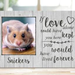 Guinea Pig Memorial Gift, Pet Memorial, Frame, Plaque, Photo Remembrance - thumbnail 2