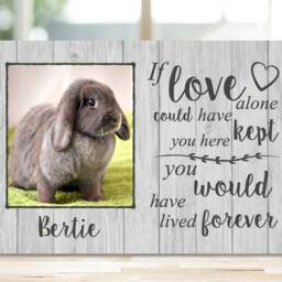 Guinea Pig Memorial Gift, Pet Memorial, Frame, Plaque, Photo Remembrance - thumbnail 3