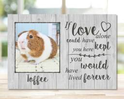 Guinea Pig Memorial Gift, Pet Memorial, Frame, Plaque, Photo Remembrance