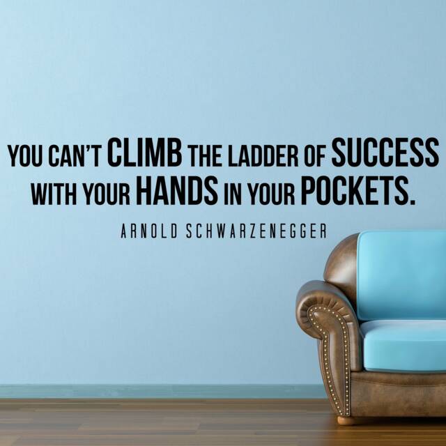 Arnold Schwarzenegger Climb Inspirational Motivational Wall Decal Quote Art For Home Living Room Office Decor Decorations 42x10 Inches - image 1