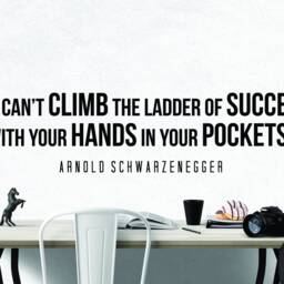 Arnold Schwarzenegger Climb Inspirational Motivational Wall Decal Quote Art For Home Living Room Office Decor Decorations 42x10 Inches - thumbnail 2