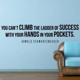 Arnold Schwarzenegger Climb Inspirational Motivational Wall Decal Quote Art For Home Living Room Office Decor Decorations 42x10 Inches - thumbnail 1