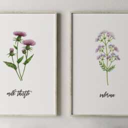 Printable Herb Prints, Kitchen Decor, Botanical Print Set, Unique Home Wall Dining Room Garden Decor - thumbnail 4