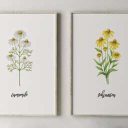 Printable Herb Prints, Kitchen Decor, Botanical Print Set, Unique Home Wall Dining Room Garden Decor - thumbnail 2