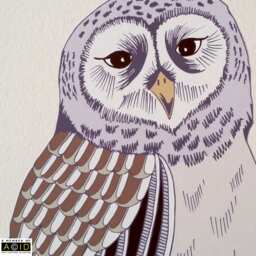Owl Wall Decal, Woodland Nursery Decor, Forest Decor Nursery, Baby Shower - thumbnail 2