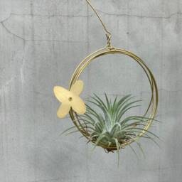 Air Plant Hanger, Kinetic Mobile, Hanging Tillandsia Plants Mobile For Air Plant - thumbnail 3