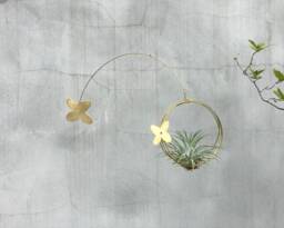 Air Plant Hanger, Kinetic Mobile, Hanging Tillandsia Plants Mobile For Air Plant