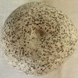 "Sculpture ""Great Winter Seed" - thumbnail 2
