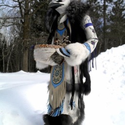 Blue Jay Manitou - thumbnail 2