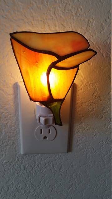 Vibrant Poppy Nightlight, Spring Decor