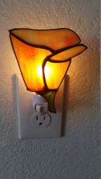Vibrant Poppy Nightlight, Spring Decor