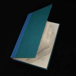 B Heart D 2 Letters With Symbol Anniversary Gift Lovers Personalized Folded Book Art Sculpture - thumbnail 4