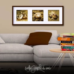 Seashell Trio Series 1 Printable Wall Art, Decor, Set Of 3 10x10 - thumbnail 3
