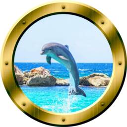 Dolphin 3D Porthole Vinyl Wall Decal Peel & Stick Mural Porpoise Gold Art Portal Gp30 - thumbnail 2