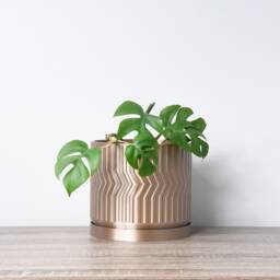 "Sedona Planter With Drainage & Saucer in Champagne Bronze, Unique 3D-Printed Plant Pot, Small To Large Sizes 4"" 5"" 6"" 7"" 8" - thumbnail 3