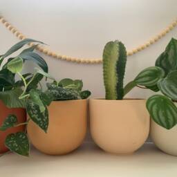 6In Desert Concrete Planter Minimalist Boho Plant Pot - thumbnail 2