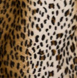 Animal Print Pillow, Leopard Pillow Cover, Tiger Giraffe Pillow, Cheetah Zebra Safari Animal Print, Jungle - thumbnail 3