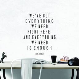 Jack Johnson We've Got Everything Inspirational Motivational Wall Decal Quote Art For Home Living Room Office Decor Decorations 17x22 Inches - thumbnail 2