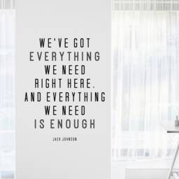 Jack Johnson We've Got Everything Inspirational Motivational Wall Decal Quote Art For Home Living Room Office Decor Decorations 17x22 Inches - thumbnail 1