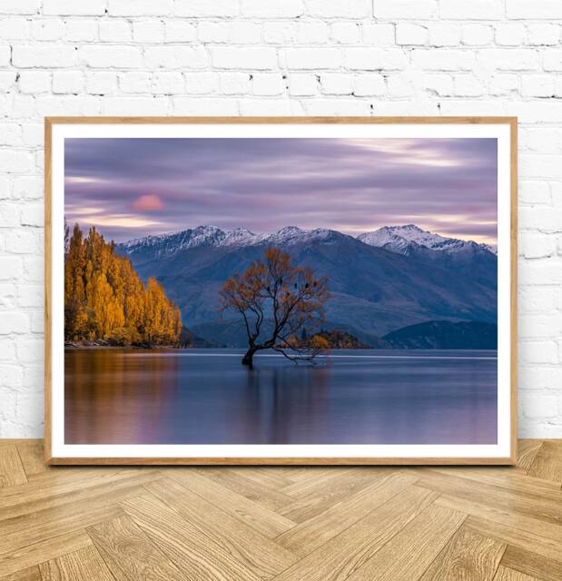 Wanaka - Landscape Photography Art Print New Zealand - image 1