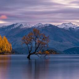 Wanaka - Landscape Photography Art Print New Zealand - thumbnail 2