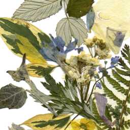 Floral Print, Dried Flowers Art , Wall Decor Green Leaves - thumbnail 3