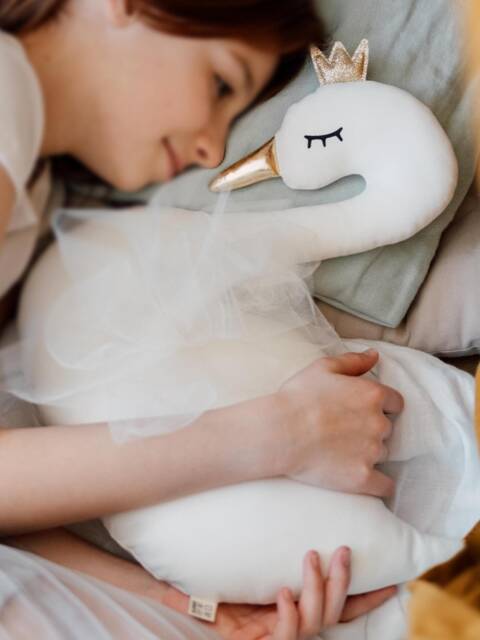 Swan Pillow, Baby Girl Nursery Decor Cushion, Decorative Princess Swan Plush Toy Kids Room Newborn Gift, White Pink Bed - image 1