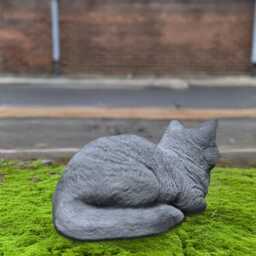 Large Cat Statue Concrete Kitten Scupture Stone Kitty Figurine Outdoor Memorial Decoration Garden Ornament Birthday Gifting Pet Decor - thumbnail 4