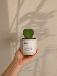 Personalized Concrete Planter, Mom Definition Pot, Small Succulent Holder - thumbnail 1
