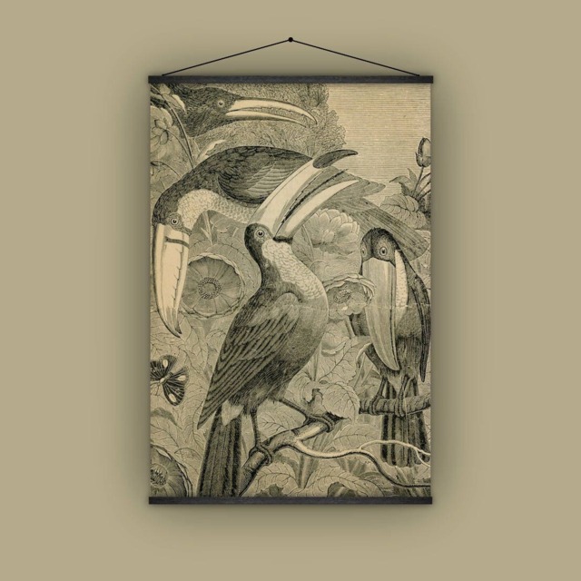 Toucans, Birds, Birdwatcher, Gift For Him Or Her, Natural History, Wall Hanging, Antique, Vintage, Jungle, Pull Down Chart - image 1