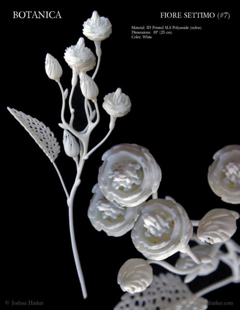 Fiore Settimo - 3D Printed Filigree Flower By Joshua Harker