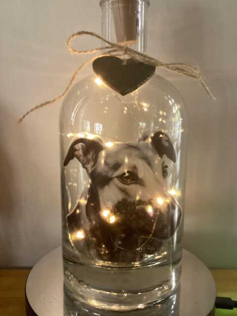 Personalised Greyhound/ Whippet Dog Light Up Bottle, Bottle Lamp With Gift Messaging Service & Bag