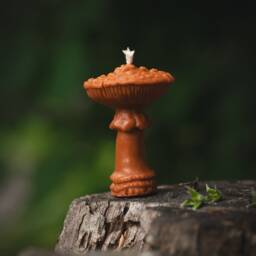 Mushroom Candles, Decoration, Autumn Decor, Home Beeswax Gift For Mom, Friend, Forest Candle - thumbnail 2
