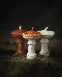 Mushroom Candles, Decoration, Autumn Decor, Home Beeswax Gift For Mom, Friend, Forest Candle - thumbnail 1