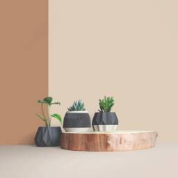 Set Of 3D Wooden Indoor Plant Pots - Gift For Lovers Apartment Decoration Minimalist Geometric Design - thumbnail 2