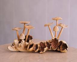 Wooden Mushroom Sculpture, Forest Statue, Nature, Wood Carving, Home Decor, Birthday Gift For Mother
