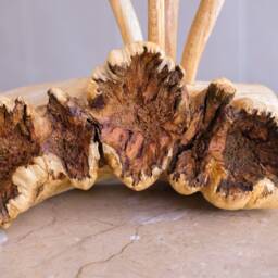 Wooden Mushroom Sculpture, Forest Statue, Nature, Wood Carving, Unique Figurine, Fungi, Home Decor, Gift For Her, Birthday Mother - thumbnail 4