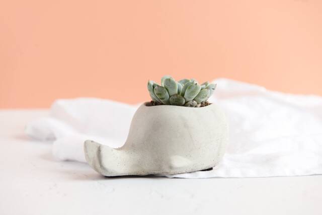 Handmade Concrete Whale Planter Nautical Succulent Pot - image 1