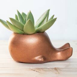 Handmade Concrete Whale Planter Nautical Succulent Pot - thumbnail 2