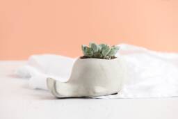 Handmade Concrete Whale Planter Nautical Succulent Pot - thumbnail 1