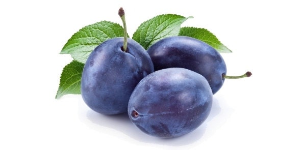 Sugared Plum Strong Scented Votive Candle - image 1