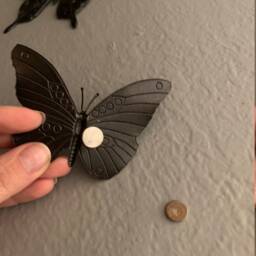 Metal 3D Butterfly 2 Sizes Available - thumbnail 4