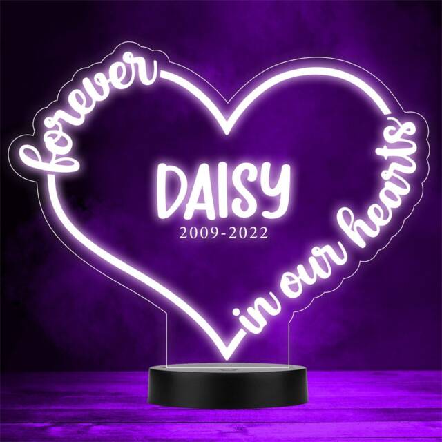 Forever in Our Memorial Dates Personalised Gift Colour Changing Night Light - image 1