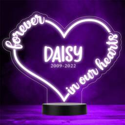 Forever in Our Memorial Dates Personalised Gift Colour Changing Night Light - thumbnail 1